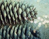 Pine cone photography-Bokeh Home Decor-Bokeh Christmas Lights-instant download-Pine Cone with sparkle-Christmas-Lights-Bokeh-Festive Pine cone photography-Bokeh Home Decor-Bokeh Christmas Lights-instant download-Pine Cone with sparkle-Christmas-Lights-Bokeh-Festive