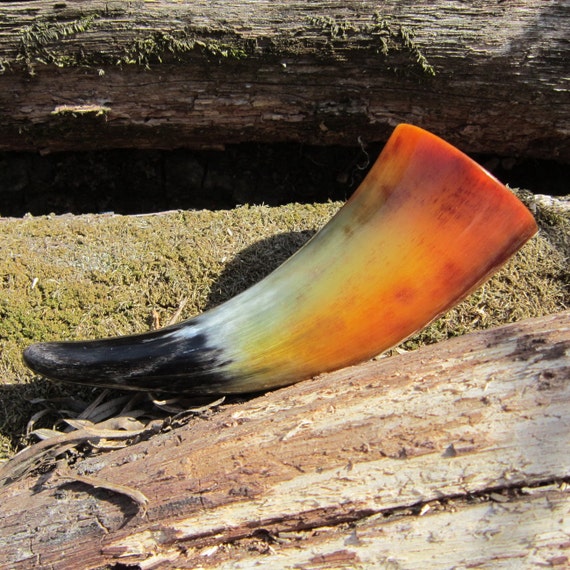 Mead Horn Drinking Horn Home Decor Accessory made of Natural