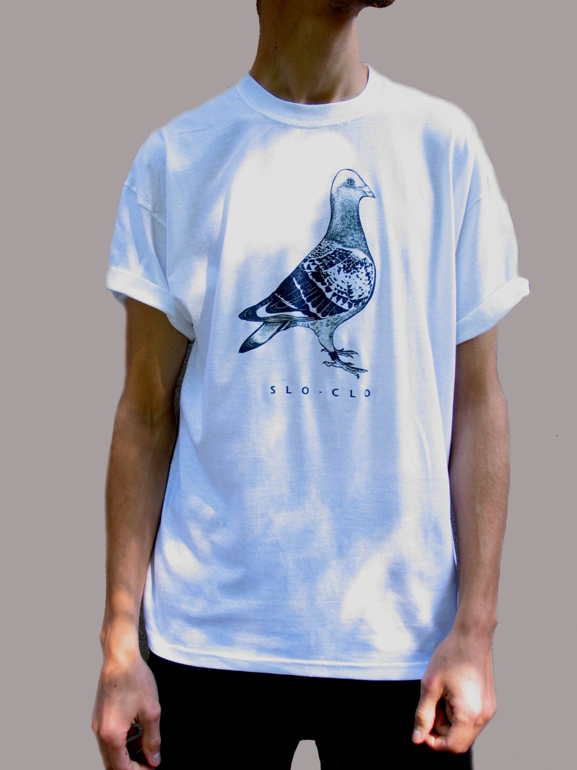 boden pigeon shirt