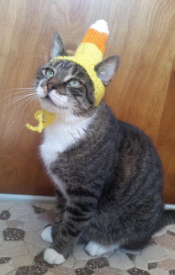 Items similar to Candy Corn Cat Hat, Knit Hat for Cat on Etsy