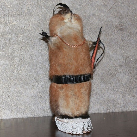 stuffed beaver taxidermy for sale