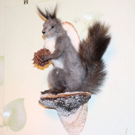 gray squirrel stuffed animal