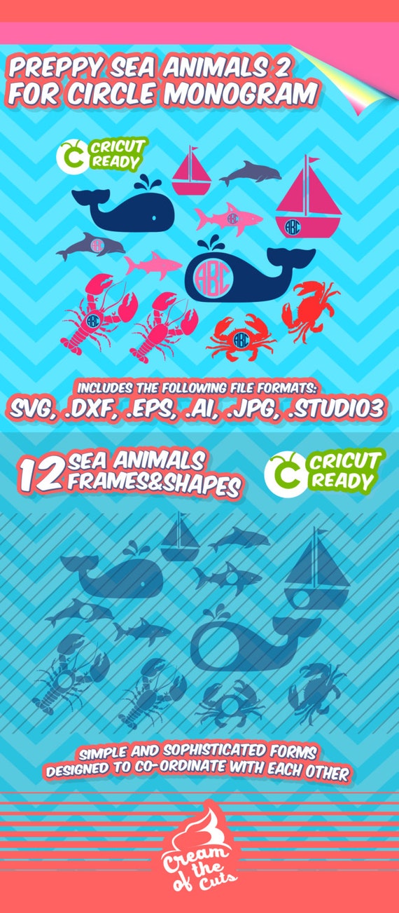 Download Sea Animals svg set 2 .Studio3 cut files whale svg screen