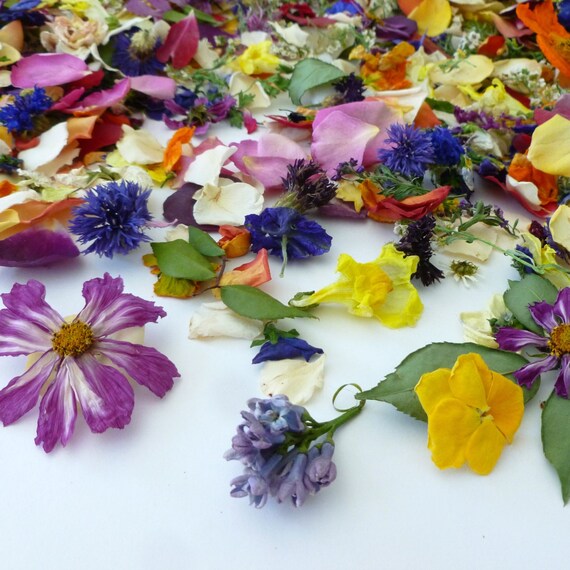 confetti petals bulk