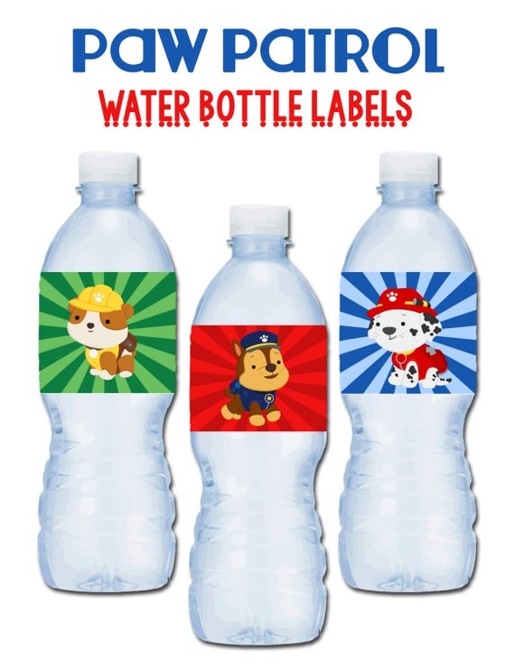 paw patrol water