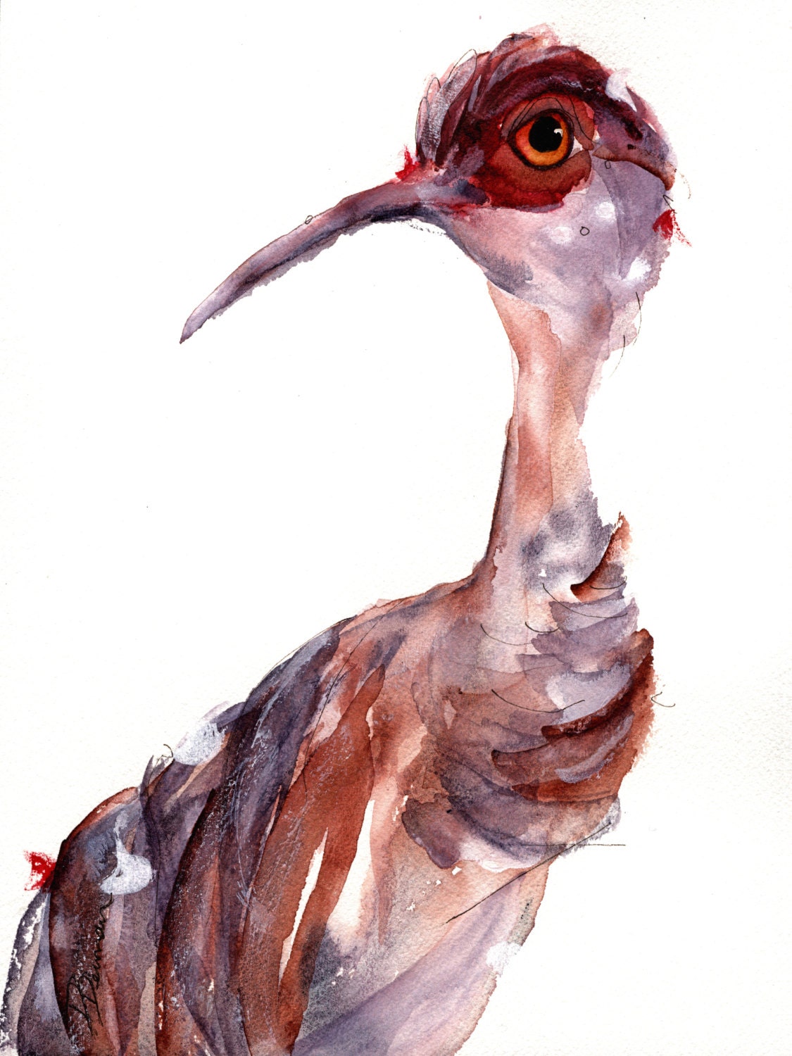 Sandhill Crane Art Print Large Wildlife Art