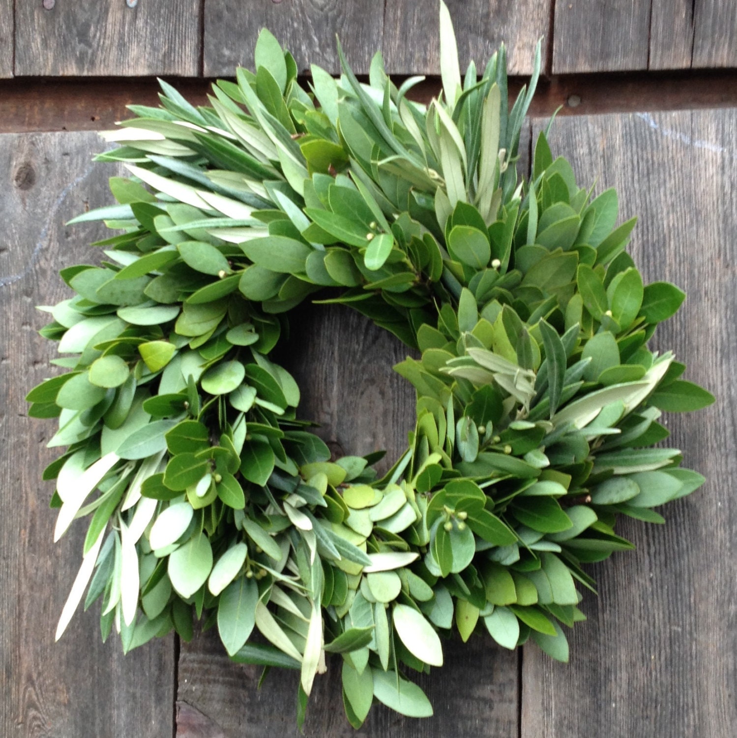 Fresh Bay Leaf Wreath