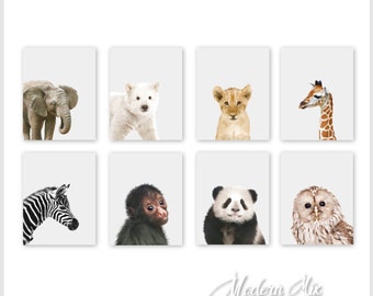 Baby Animal Prints Animal Nursery Decor Safari Nursery Print Set Baby Animal Photography Baby Animal Decor Safari Animal Print Set of 8