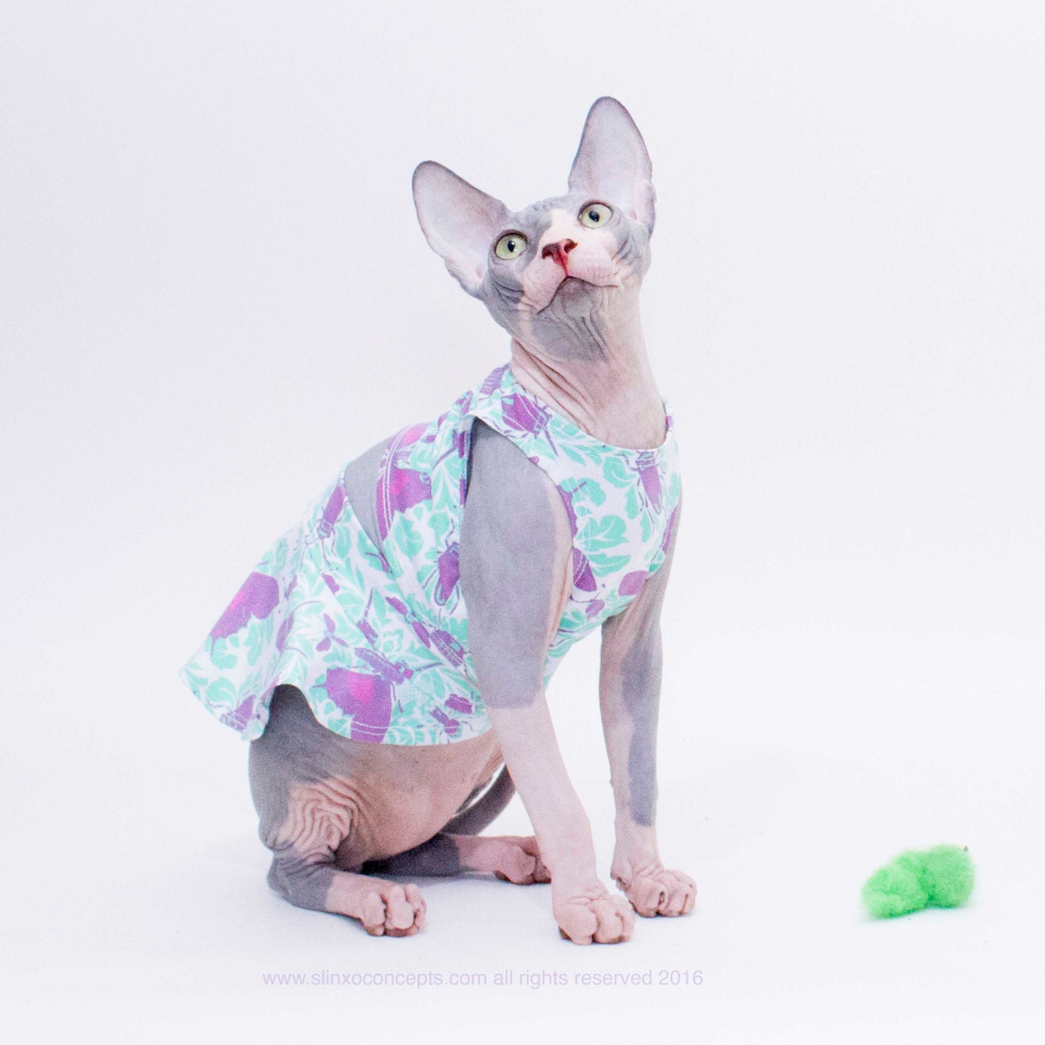 Bikini Pet Costume Cat swimsuit Sphynx Cat Halloween Gothic