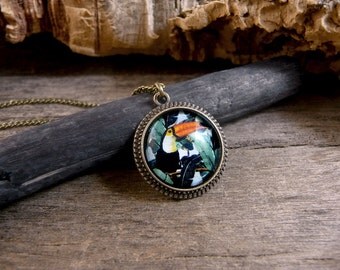 Toucan necklace, Bird necklace, Toucan pendant, Toucan jewelry, Tropical bird jewelry, Jungle necklace, Tropical necklace Exotic bird TJ 069