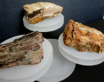 Design A Tree! Petrified Wood Base For Copper Tree of Life Sculpture - Customize Your Piece! Reiki Healing Crystals