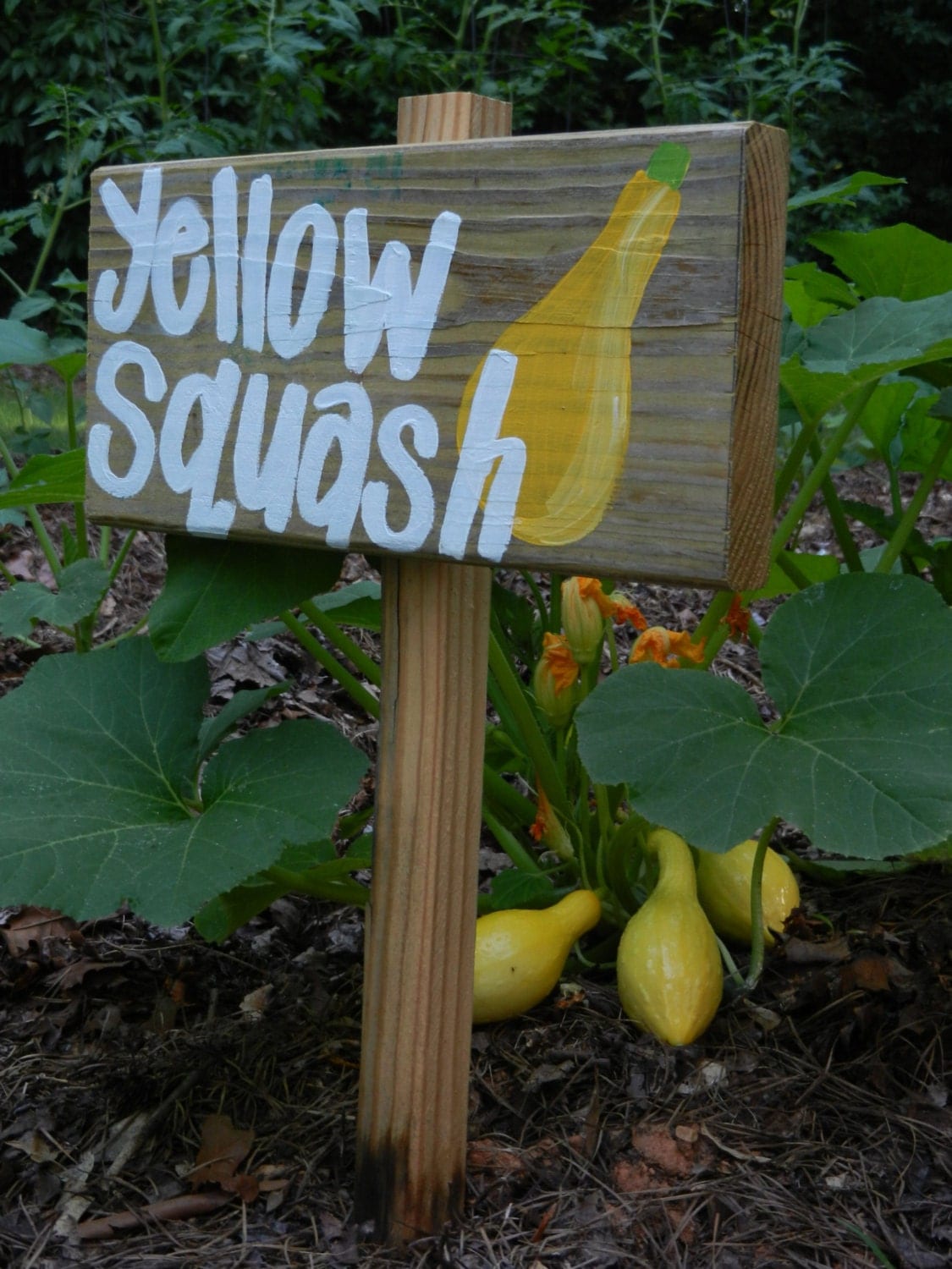 Wooden Garden Sign