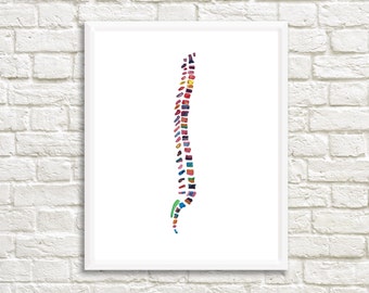 Spine Print - Spine Art Print - Anatomy Art Print - Medical Art - Chiropractor Art - Chiropractor Gift - Watercolor Anatomy Illustration