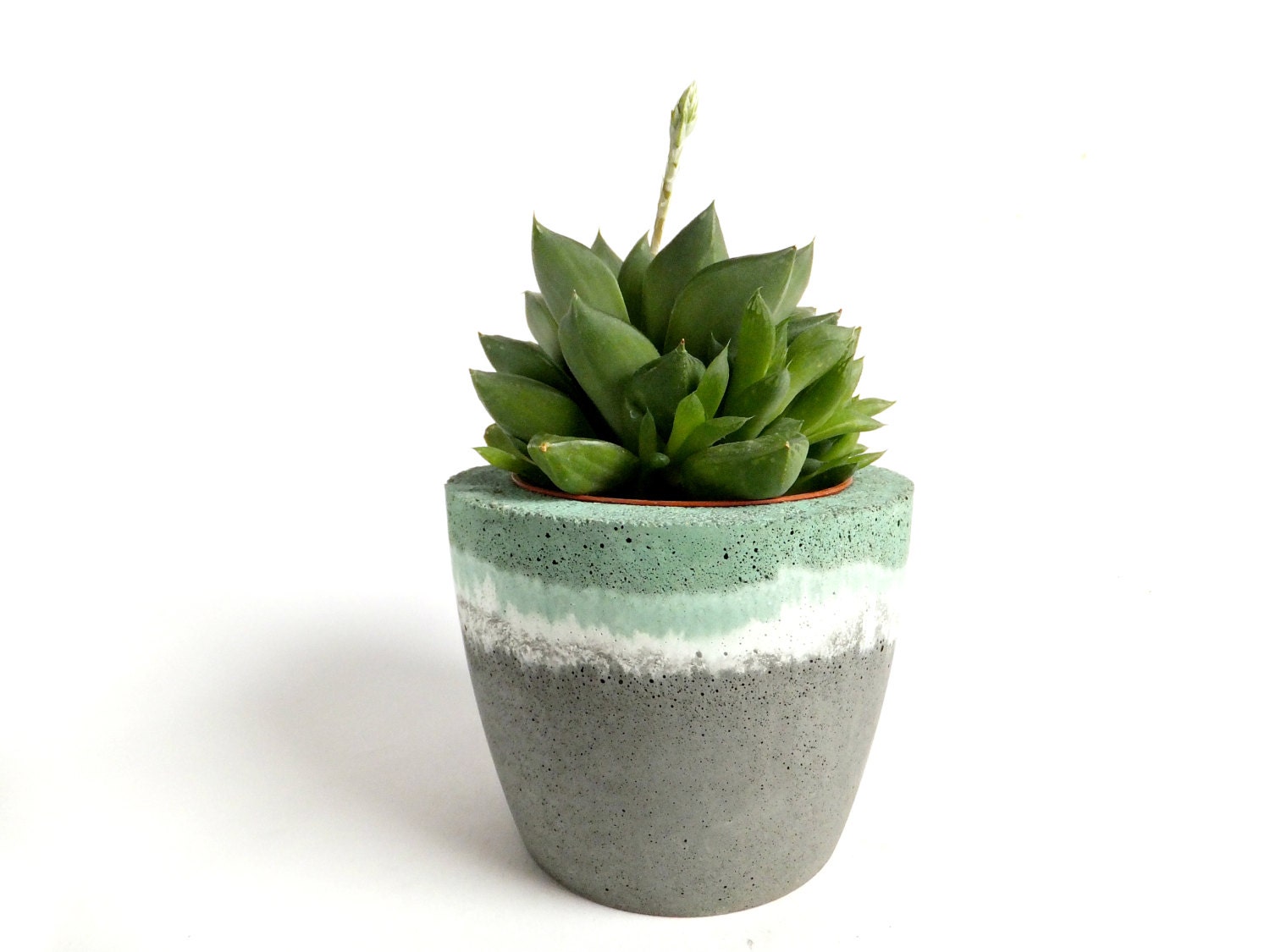 Concrete Round Planter for Succulent Cactus Industrial Planter