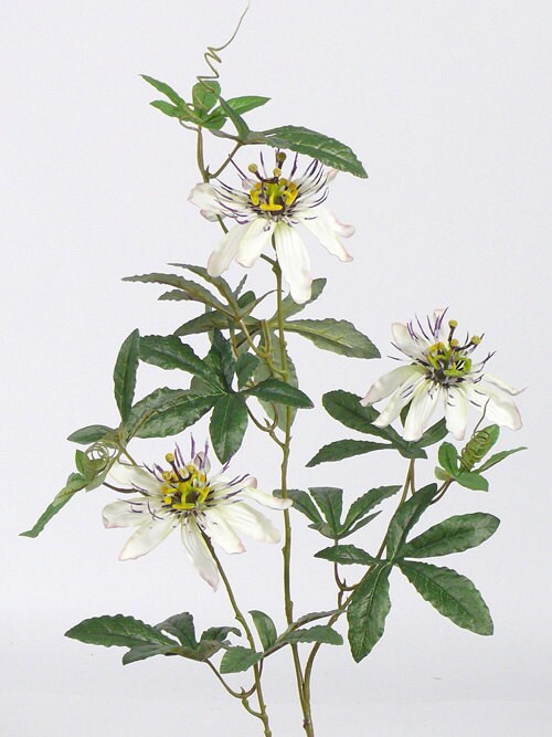 Artificial silk Passion Flower Natural Color Artificial Passion branch Centerpieces floral