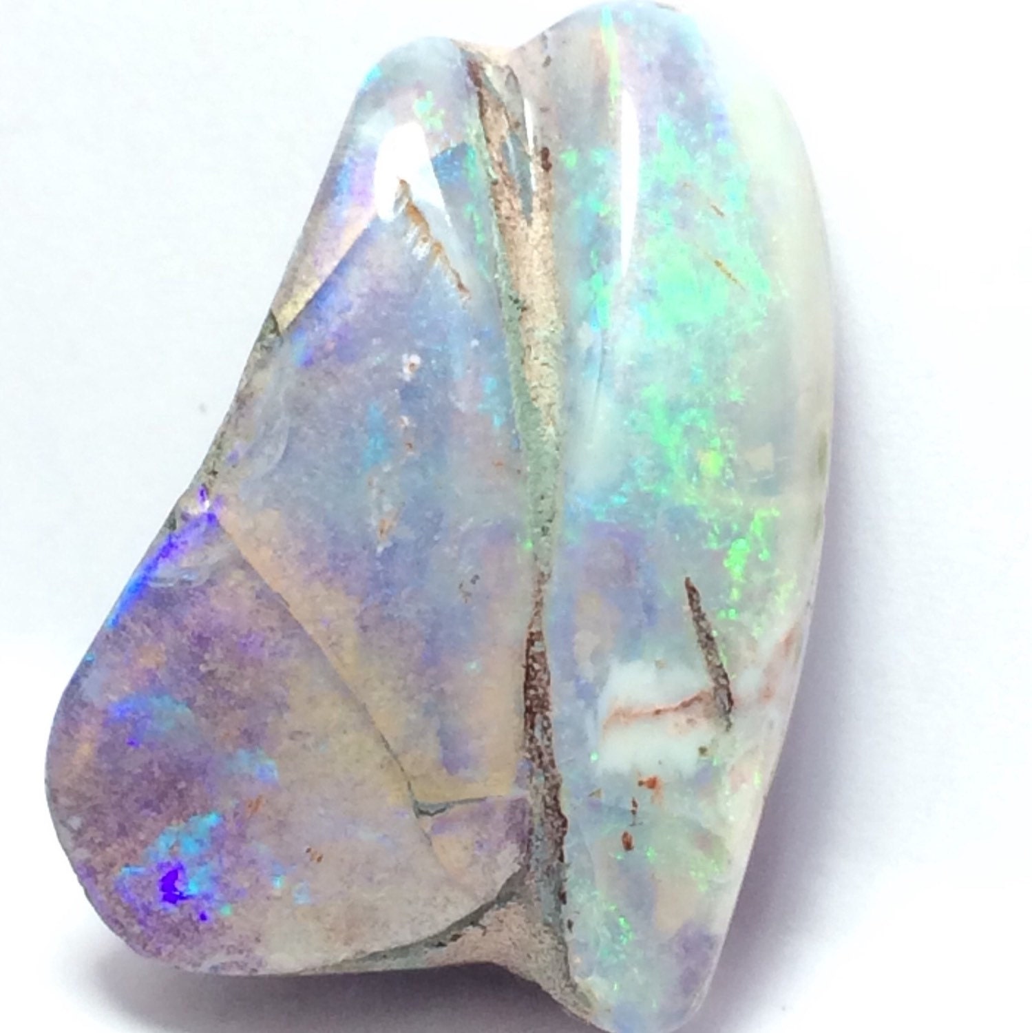 30.5 CT Opalized Sea Shell Fossil. Rare 100 Natural Untreated