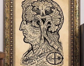 Vintage Psychology Art Print "Plan of the Brain-Mental Action" Sivartha 1912 Human Mind Antique Book Illustration Steampunk Art