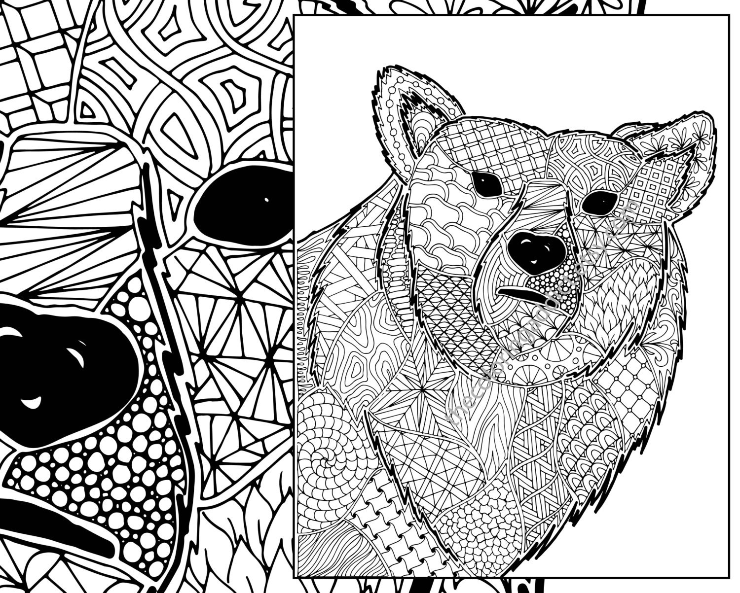 Download zentangle bear coloring sheet animal coloring zentangle