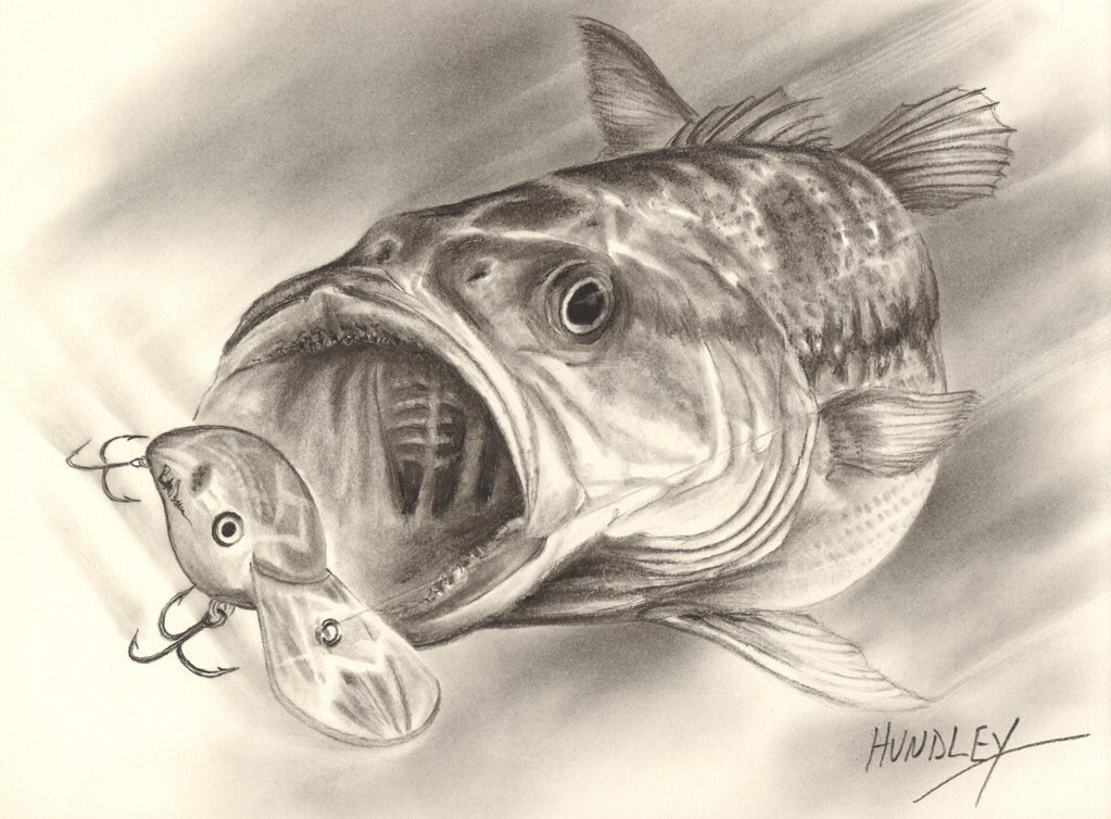 FISHING ART Bass Art Bass Drawing Fishing Decor Angler