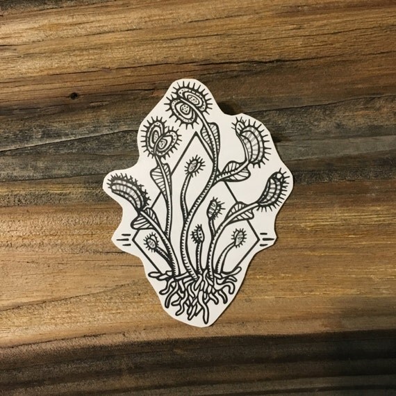 venus flytrap temporary tattoo black ink tattoo design venus flytrap temporary tattoo black ink tattoo design