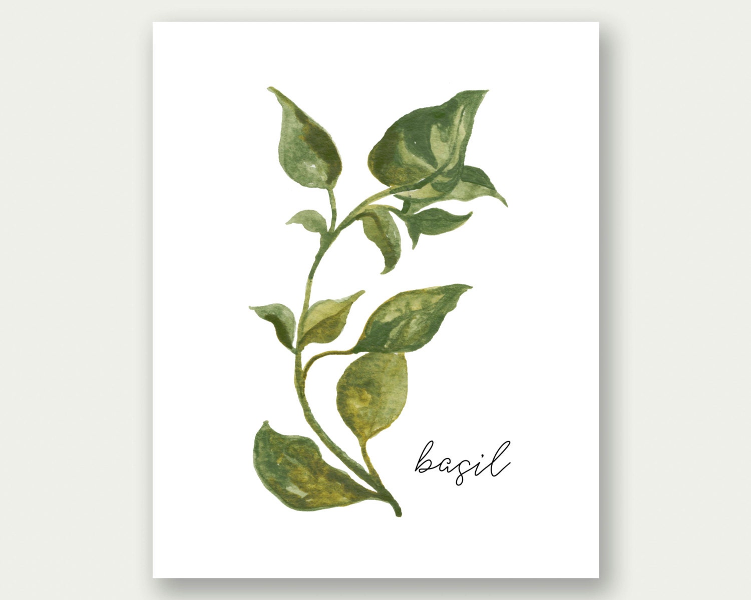 sale herbs printable basil printable herbs wall art herbs