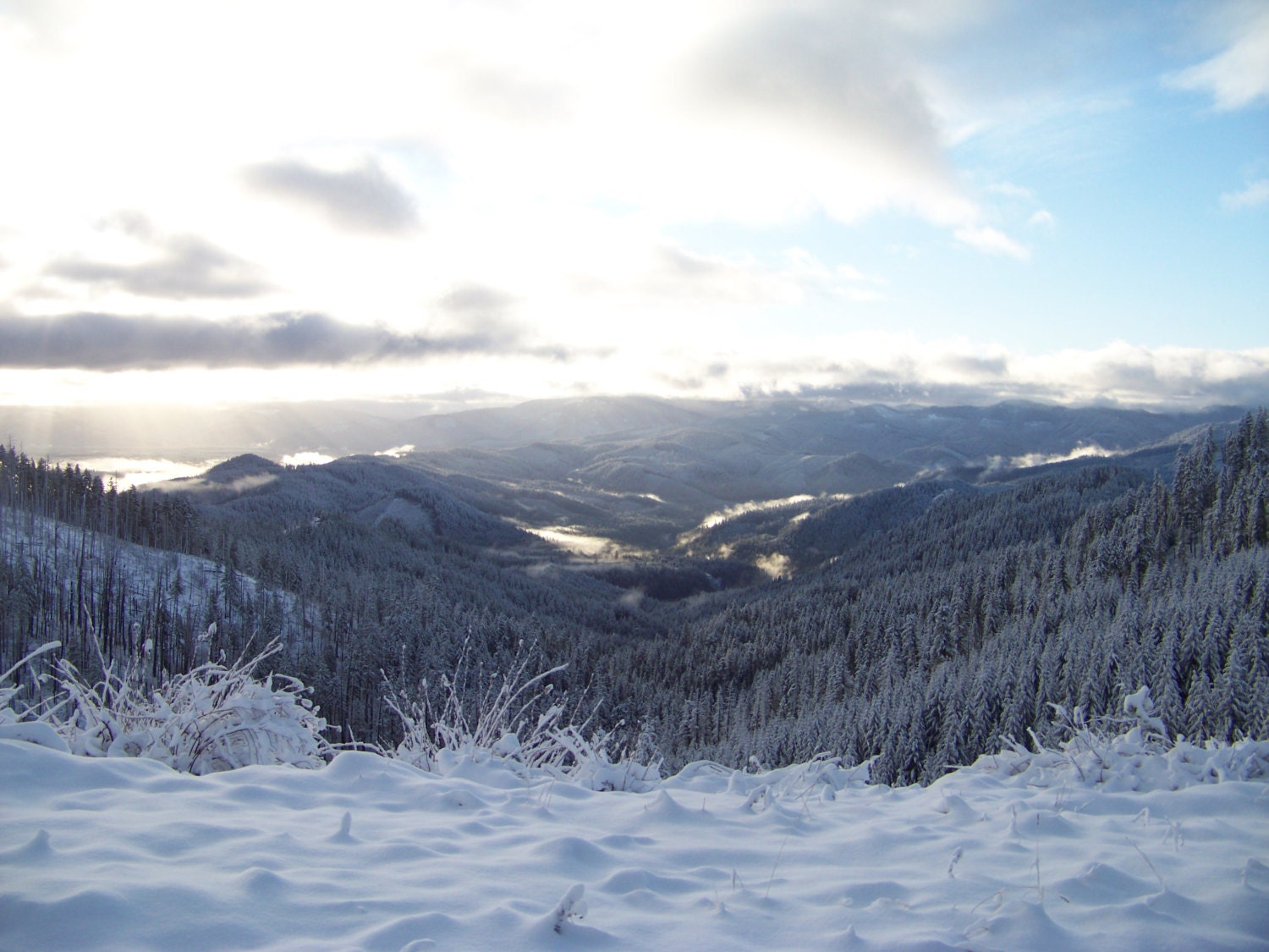 Boulder Creek Wilderness area in SW Oregon