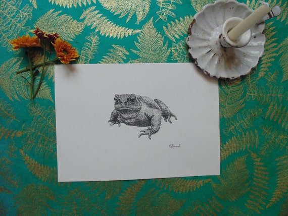 Toad print