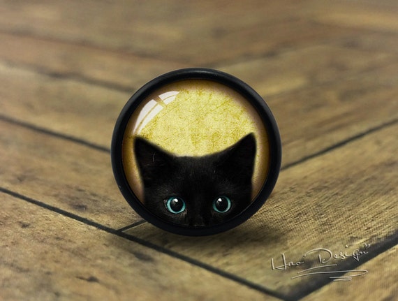 door knob cat toy