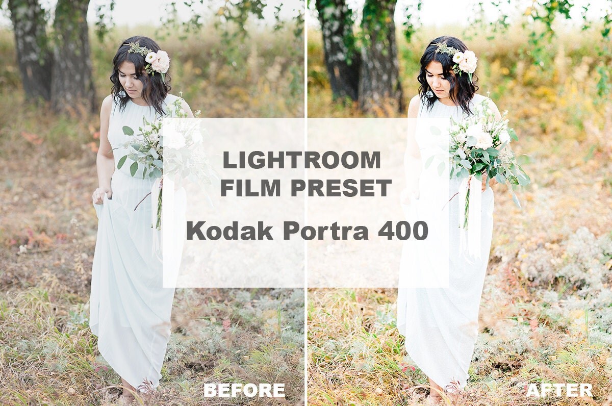 kodak portra 400 lightroom preset free download