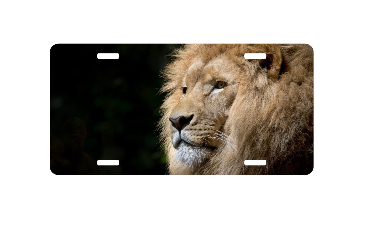 Lion license plate car tag vanity plate auto tag animal