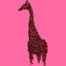 The Scarlet Giraffe