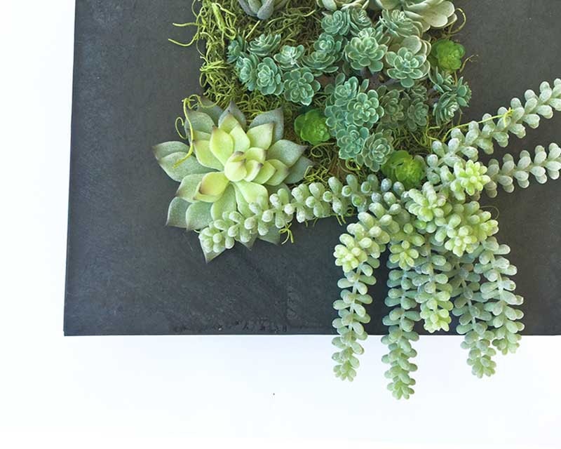Succulent wall planter hanging succulent arrangement faux