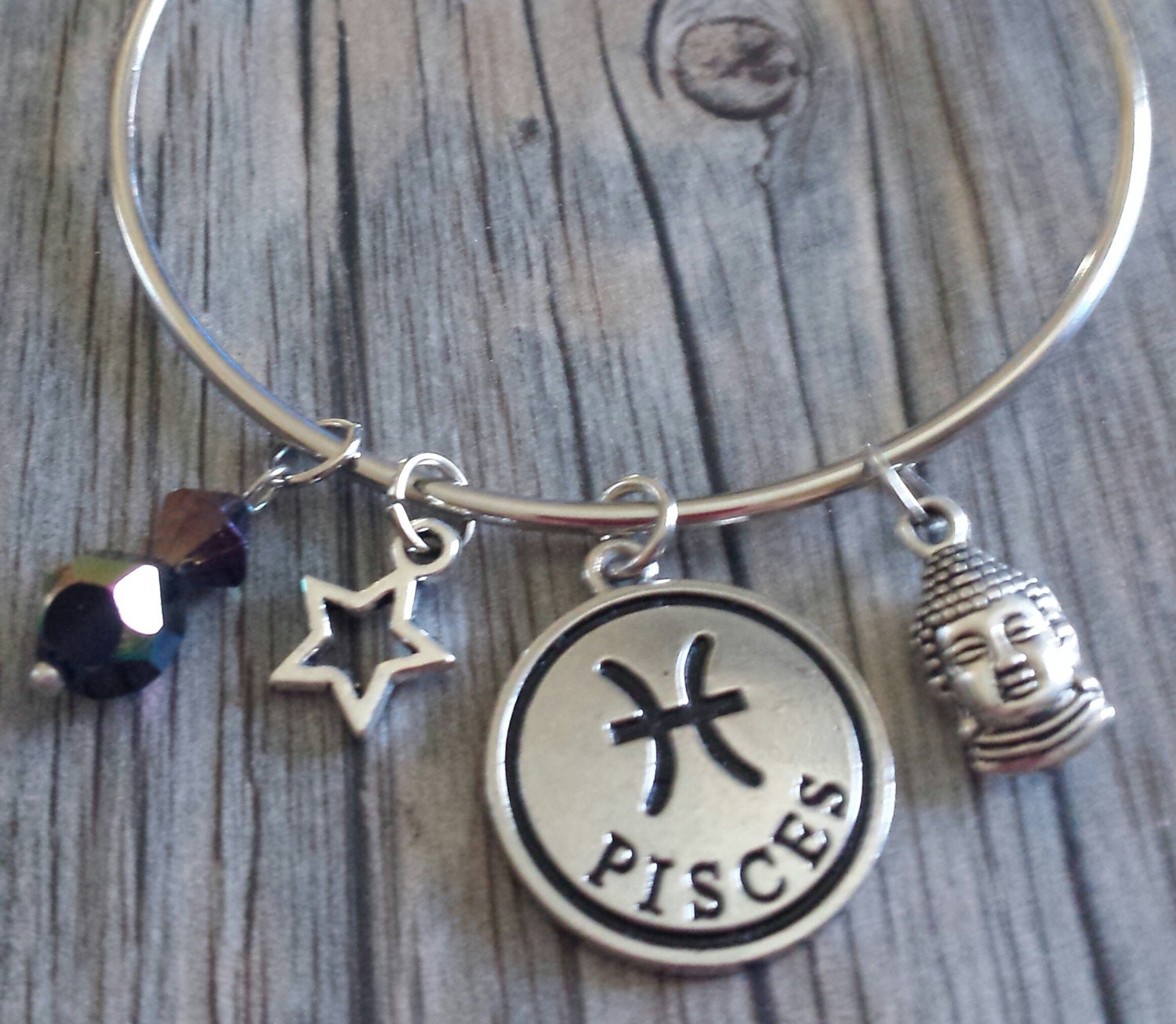 Pisces Charm Bracelet Pisces Charm Pisces Bracelet Zodiac