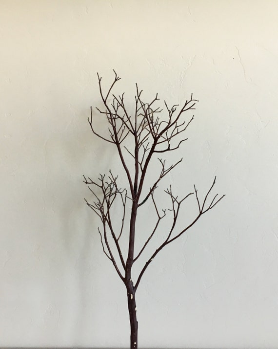 24 Manzanita Branch Natural Red Manzanita by ManzanitasAndMinis