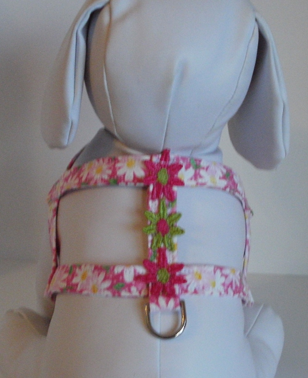 Girl Dog Harness Dog Clothes Dog Harness Dog Harnesses