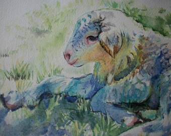 Lamb watercolor, original painting, watercolor animals