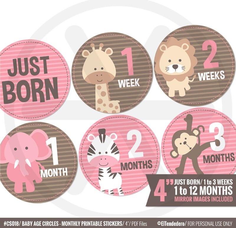 pink safari baby monthly stickers printable month milestone