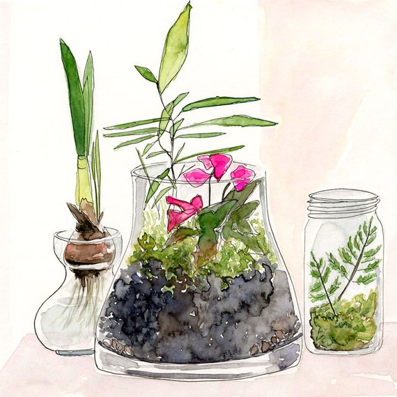 Terrarium No. 1 Original Watercolor Painting by LindsayGardnerArt