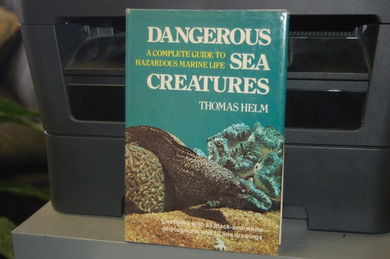Dangerous Sea Creatures A Complete Guide To Hazardous Marine
