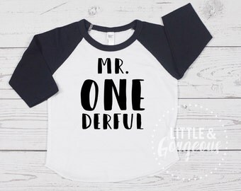 Mr. Onederful, Boys First Birthday, 1st Birthday Boy, First Birthday Shirt, Black White Raglan, Boys Birthday Shirt, Boys Birthday Outfit