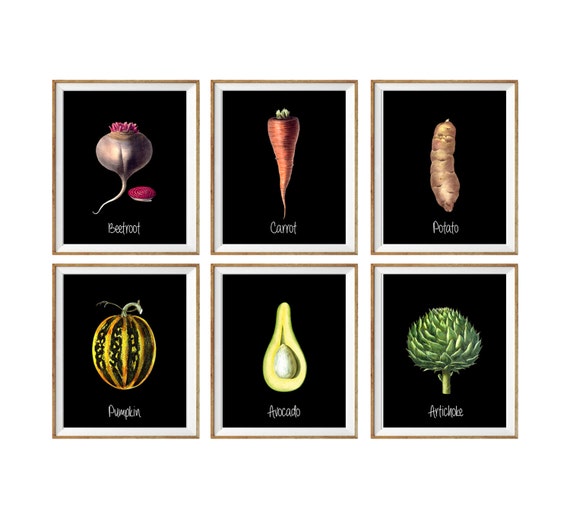 Moderne kunstdrucke küche küche wanddekoration botanische