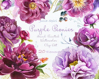 Watercolor Peonies Flowers Clipart, Purple, Violet, Bordeauxs, Wedding Invitation, Floral set Lilac Greeting card Peony Diy. Purple Peonies