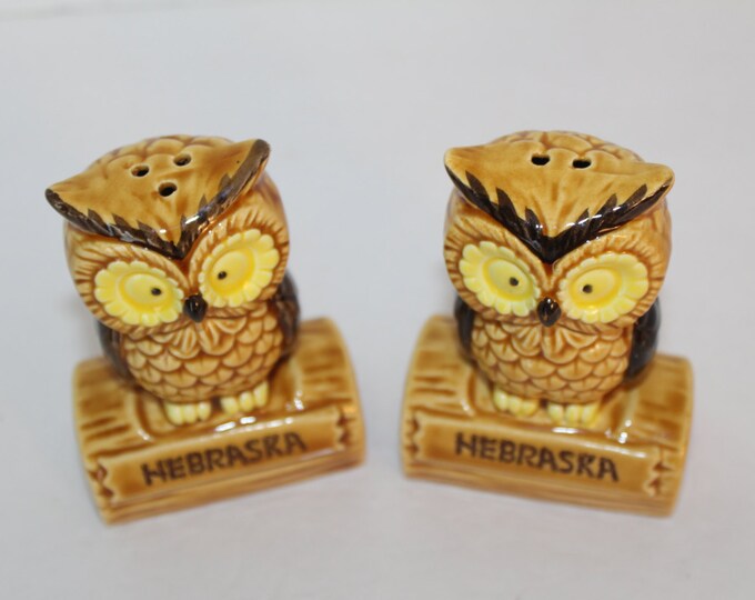 Vintage Owl Salt and Pepper Shakers, Nebraska Souvenir, Kitchen Collectible