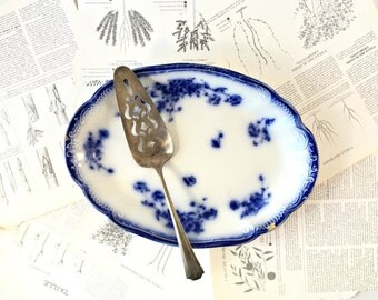 Vintage flow blue plate vintage china vintage dinnerware flow blue rare vintage dish serving dishes shabby chic W H Grindley Le Pavot 1896