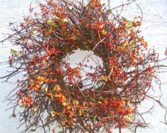 Bittersweet Wreath