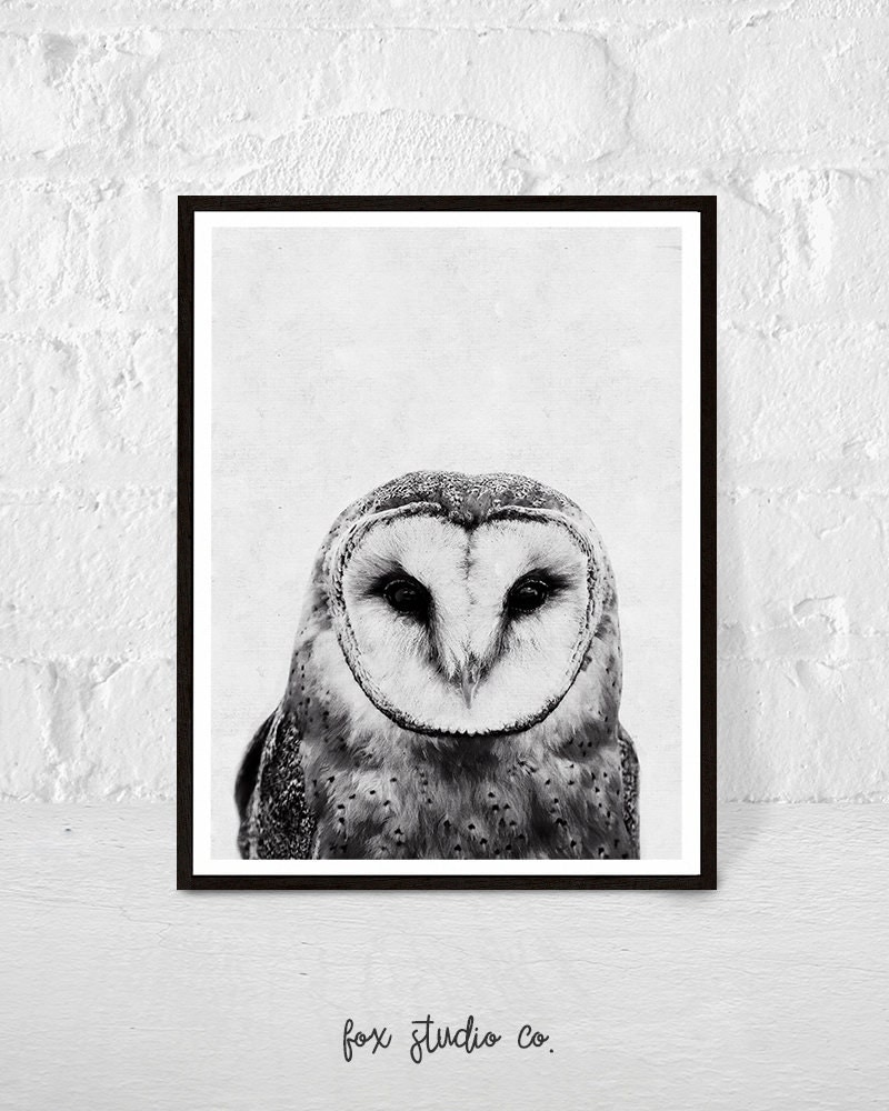 Owl Print Black and White Owl Wall Art Owl Art by FoxStudioCo