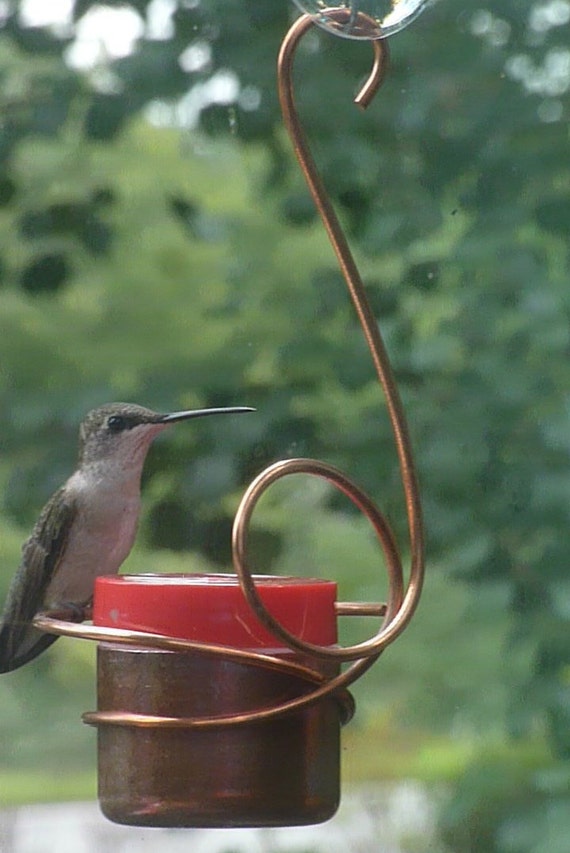 best hummingbird feeder with bee guards