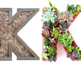 10 inch DIY Unfinished Succulent Monogrammed Initials Succulent Planter Succulent Letter Box