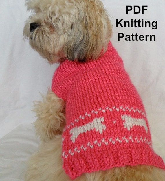 Cute dog sweater knitting pattern PDF small dog sweater