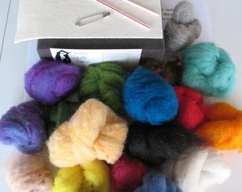 Needle Felting Kit Beginner Starter Basic Intro 22 colors Wool Complete Instructions Ships from USA